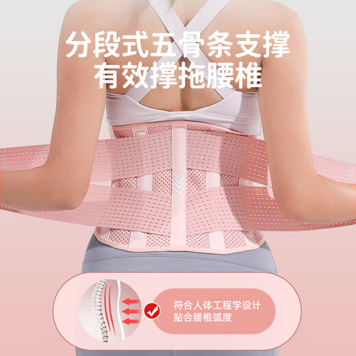 Anta (Anta) Taillengürtel-Fitness-Übung für Frauen mit Lendenscheibenvorfalllendenung Lumbalmuskelstamm Sommer atmungsaktiv und stehender Stützgurte Taillengürtel Rosa [5 Stützstreifen/Doppeldruck] M [Vorgeschlagener Taillenumfang 75-88 cm]