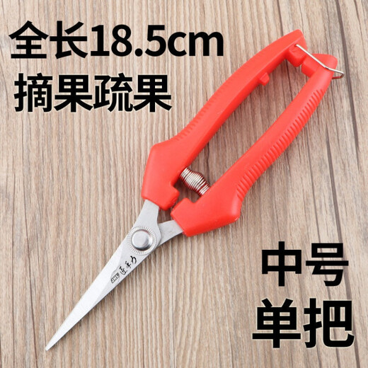 修枝剪子葡萄摘果剪 园林果树剪刀粗枝花剪 省力树枝修剪花的剪刀 H德14116高端直摘剪