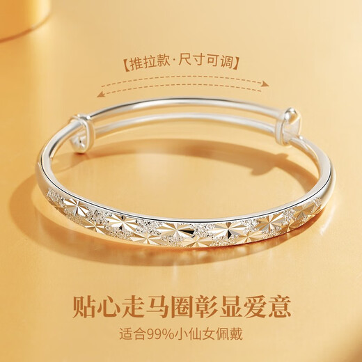 中国黄金（CHINA GOLD）满天星足银手镯子女生实心生日礼物送女友老婆纪念日 满天星手镯【15g】-京速达