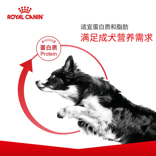 Royal Canin Adult Dog Food Dog Food General Dog Type CC General Food December 3KG