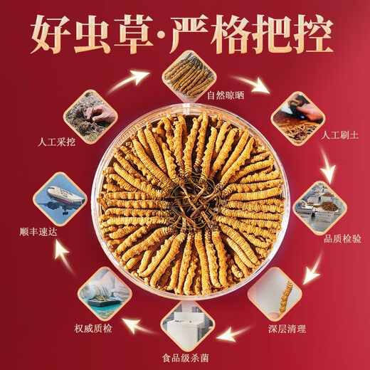 [Tibet Straight Hair] Nagqu First Stubble Cordyceps Authentic High-altitude Dried Cordyceps Gift Boxes First Choice Selected Extra Large Grass 4 Roots/G 100 Roots