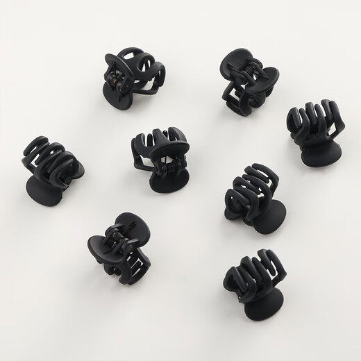 Xiang Wan Hair Clips 10 Pack Princess Head Clips Bangs Clips Frosted Premium Mini Shark Clips Hair Clips for Women