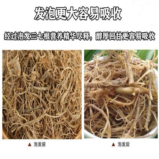 晓楚仁【官方直营】三七根云南文山田七根三七根须滋补营养大根毛根三七根须炖鸡泡酒 精选三七特粗根 500g