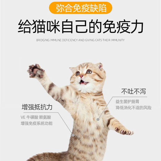 Laughing Pet Cat Food Freeze-dried Cat Food for Kittens 0-12 Months Universal Indoor American and British Short Blue Cat Fish Flavor Nutritional Probiotics Two Bags of Kitten Food Total 6Jin Jin equals 0.5kg (Repurchase)