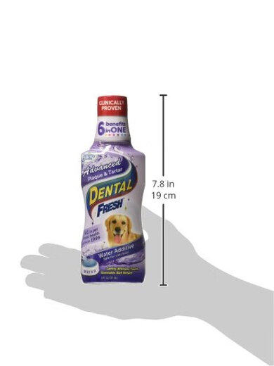 Dental Fresh Pet Mouthwash Oral Care Solution Water for Cats and Dogs to Remove Dental Plaque 237ml 8 Fl.Oz (Approx. 237 ml) * 1 Pack
