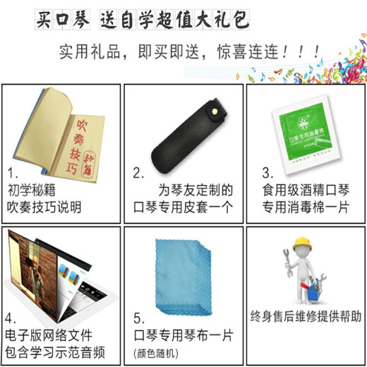 HOHNER德国进口和来SP20成人初学专业演奏10孔布鲁斯蓝调口琴Special20 降A调