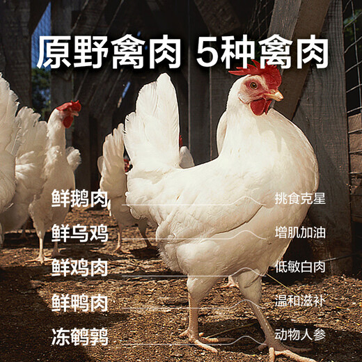 NetEase carefully selects Tiancheng full price cat food for kittens and adult cats, fresh meat, grain-free nutrition 40 series 4.0 full price cat food 3.6Jin Jin equal to 0.5kg - Wild poultry flavor 1 pack