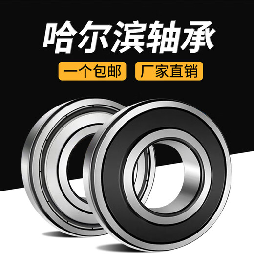 Qilicai Harbin -Lager 6217 6218 6219 6220 6221 6222 6224 6226 2Z 6220 Qualitätskautschukabdeckung