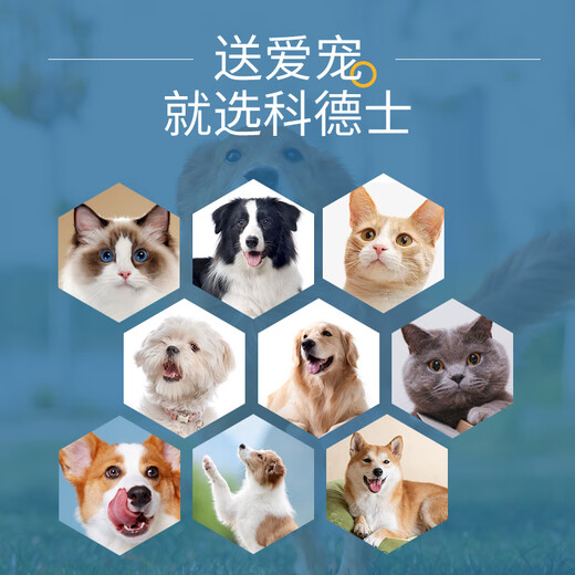 Codos Pet Shaver Dog Hair Clipper Electric Clipper Cat Hair Clipper Large and Small Dog Supplies 9200 Package One Standard