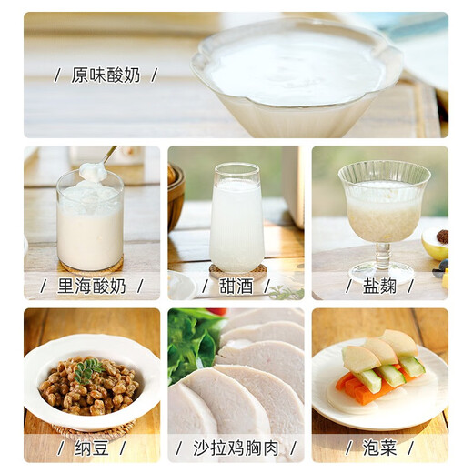 IRIS small multi-functional intelligent fully automatic no-clean household homemade yogurt machine rice wine machine KYM-016 [new product]