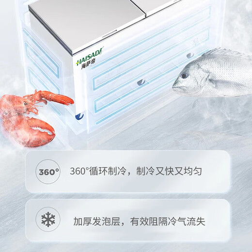 Haisati Gefrierschrank kommerzieller Haushalt großer Kühlschrank mit großer Kapazität Kühlschrank Schlafzimmer Display Schrank Kühlschrank Dual-Temperature Dual-Use