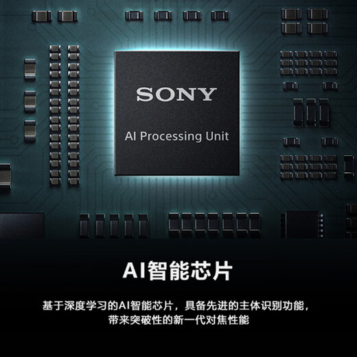 Sony (SONY) ILCE-7RM5 full-frame mirrorless digital camera dual-image quality flagship Alpha7R V/ A7R5/ A7RM5 mirrorless camera memory card set