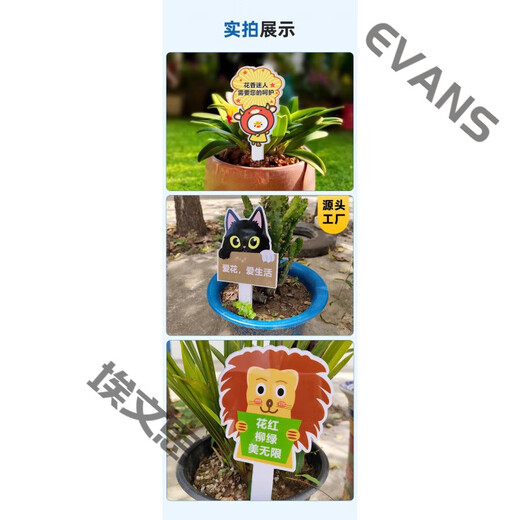 Xushansi Kindergarten Simulation Pot Brand Gardening Simulation Flower Pot Simulation Label Signage Succulent Conservation Brand DIY Handmade YHCD-02 10x16cm