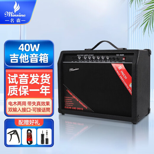 Minsine Guitar Speaker Folk Acoustic Guitar Playing Singing Bass Street Roadshow Outdoor Singing Portable Professional Audio Plug-in Version 40W (Double-use Bakelite)