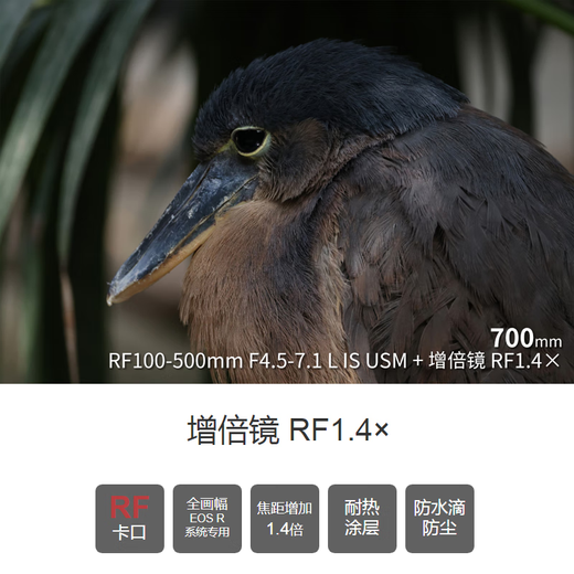 Canon RF1.4X RF Mount Bird Shooting Lens Teleconverter Extender Suitable for RF100-500mm Lens