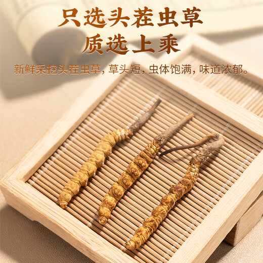雷允上冬虫夏草冻干虫草冬虫夏草精选品质高洁净虫草送父母送亲友 A32-8g