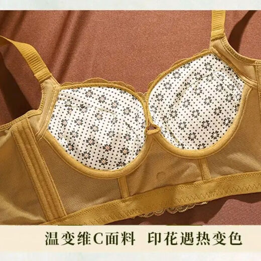 AXRG中脉JM小胸显大调整型内衣贵妇精油刺绣收副乳聚拢防下垂文胸罩 莫奈灰9215# 85A 38/B通杯