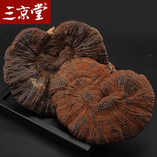 三京堂野生黑灵芝整枝 长白山紫灵芝片林芝茶可搭灵芝 250g【精选大枝 带灵芝孢子粉】 黑灵芝