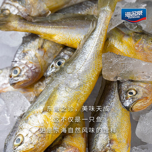 Seaview Frozen East China Sea Small Yellow Croaker 1Jin Jin is equal to 0.5kg 16-20 pieces Fresh fish Seafood aquatic products BBQ Sea-caught New Year's Eve
