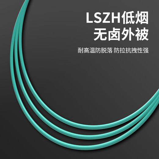 辉宏时代电信级室内多模光纤跳线OM3万兆OM4双芯尾纤OM5低烟无卤LSZH跳纤SC-LC-FC-ST接头 LC-LC【双芯多模OM4】 其他长度联系客服