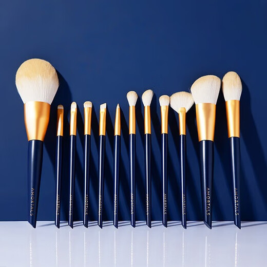 AMORTALS Star Makeup Brushes 12 pieces (Eye Shadow Brush, Powder Brush, Blush Brush) Portable Beauty Tools Holiday Gift