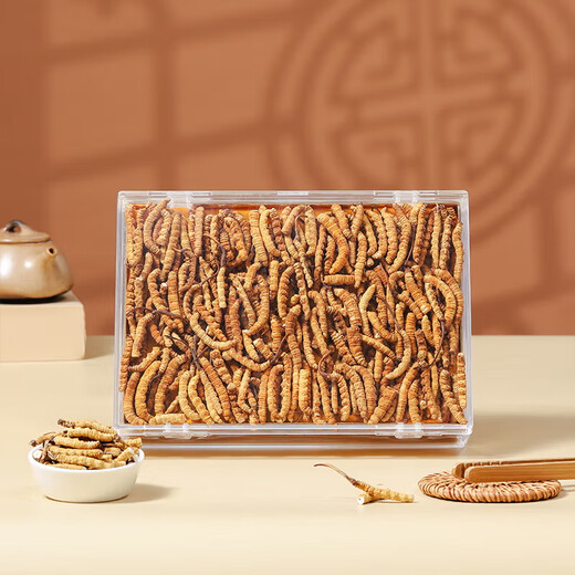 Yuanjiang Grass Cordyceps sinensis Selección de Cordyceps vulgaris Paquete asequible para suplementos nutricionales de edad avanzada para regalos de autoalimentación 100 gramos de hierba rota