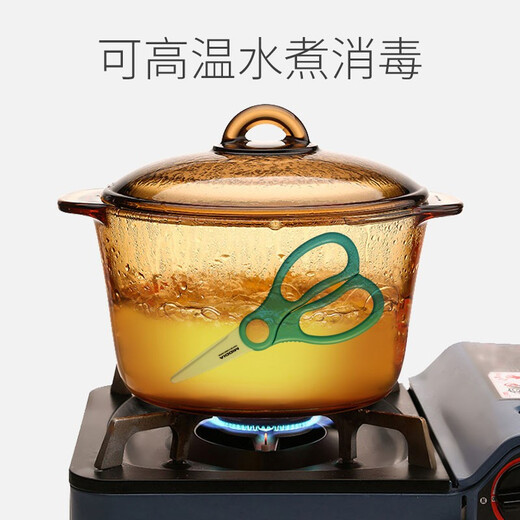 Medea ceramic food supplement scissors baby food preparation tool baby food scissors 2.5 inches can be taken away with portable clip mint green (complementary food clip + portable box + protective cover)