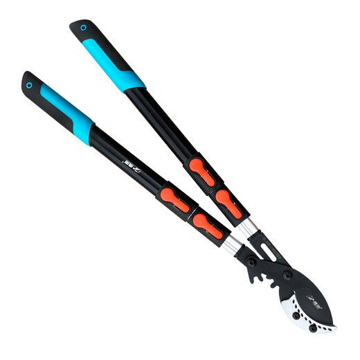 Tijeras para ramas gruesas japonesas Takada Gear Tijeras telescópicas potentes para ramas altas de árboles frutales de jardín y potentes tijeras para ramas gruesas. Tijeras no retráctiles pico de águila 9 cm