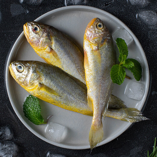 Seaview Frozen East China Sea Small Yellow Croaker 1Jin Jin is equal to 0.5kg 16-20 pieces Fresh fish Seafood aquatic products BBQ Sea-caught New Year's Eve