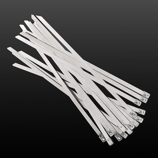 Jinggong (JINGGONG) 304 stainless steel cable ties self-locking tightening outdoor high temperature resistant marine binding metal steel bar tie wire 4.6/7.9MM 4.6*200mm (100 pieces/pack) Discount