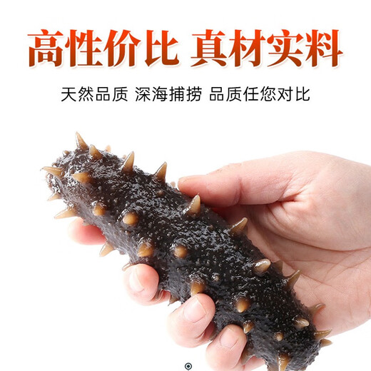 Dong Erpang Organic Dalian Sea Cucumber Fresh Sea Cucumber Ready-to-Eat No-Wash Individually Packed Gift High-Quality Fresh Aquatic Products 7A 7-9 pieces/1Jin Jin is equal to 0.5kg 2Jin Jin is equal to 0.5kg (SF Cold Chain Preservation)