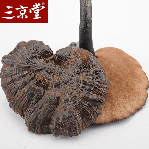 三京堂野生黑灵芝整枝 长白山紫灵芝片林芝茶可搭灵芝 250g【精选大枝 带灵芝孢子粉】 黑灵芝