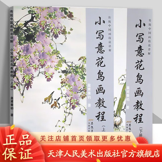 Official flagship freehand flower and bird painting tutorial, two volumes in total, 2 volumes. Detailed explanation of traditional Chinese ink painting techniques. Adult beginners' Chinese painting, peony, flower and bird painting self-study, zero-based tutorial book. Art painting, traditional Chinese painting techniques, painting techniques. Anhui Art, small freehand flower and bird painting tutorial, 2 volumes in total.