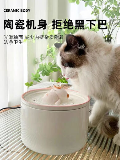 Rafxin's latest ceramic pet cat and dog drinking fountain, automatic constant temperature, intelligent cycle water feeding, cartoon cat bowl, charging cake (Lake Blue charging model)