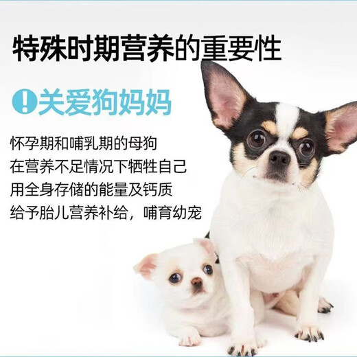 Postpartum nutritional supplements for female dogs, pregnant dogs, dog mothers, pregnant Teddy confinement, lactation, calcium supplement goat milk powder during pregnancy and lactation, goat milk powder for dog postpartum recovery, two cans