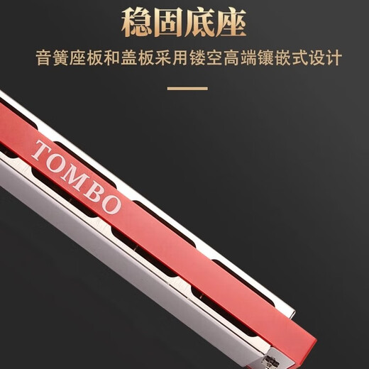 TOMBO通宝青春版6624Q 24孔复音口琴初学儿童学生用成人专业演奏乐器 专业自学款-24孔（音标款） #D调=bE调=降E调