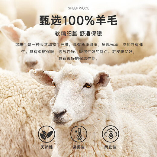 Raidy Boer/雷迪波尔【100%绵羊毛】男双头鹰烫钻羊毛衫毛衣5031 黑色  180/52/XL