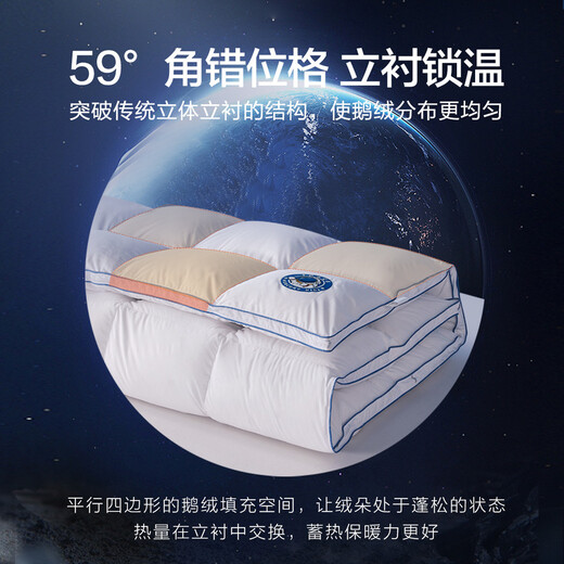 Mercury Home Textiles Quilt Duvet Imported from Poland 95% White Goose Down Infant and Toddler Class A Antibacterial and Anti-mite Goose Down Quilt Winter Quilt Winter Quilt (95% Polish White Goose Down/Class A Antibacterial) 120 150cm (Adapted to 1.0m bed kit)