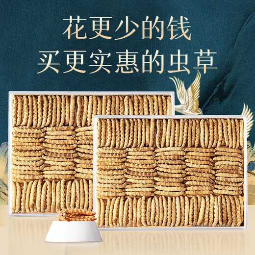 Sandy Konzang Cordyceps Cordyceps Ausgewählte Qualität Cordyceps Cordyceps Ess erschwinglich für Familiengeschenke Ganzes Pure Meat Festival 50g Pack