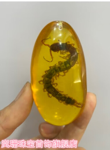 SNQP high-end quality amber insect specimens, artificial amber true cicada specimen pendants, hand-held insect amber centipedes