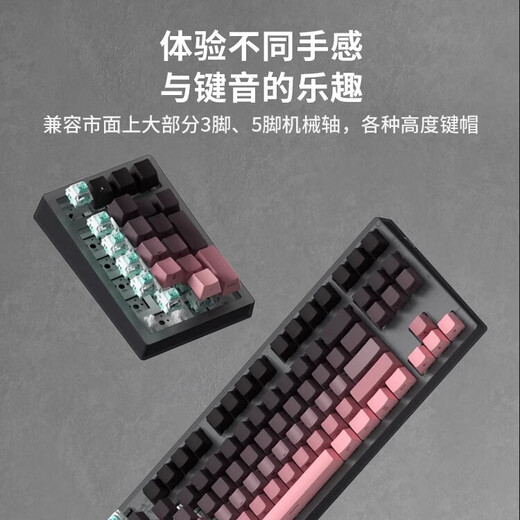 腹灵腹灵mk870Pro侧刻透光无线机械键盘客制化键盘电竞游戏戏办公静音 870pro黑曜石 微尘侧刻+数字区 茶轴
