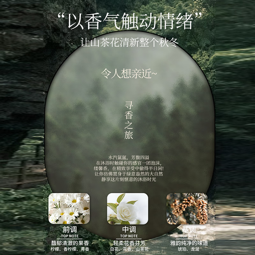 Ailan Gona camellia shampoo oil control fluffy anti-dandruff anti-itch long-lasting fragrance shampoo and shower gel set for men and women genuine camellia shampoo 750ml*1 bottle