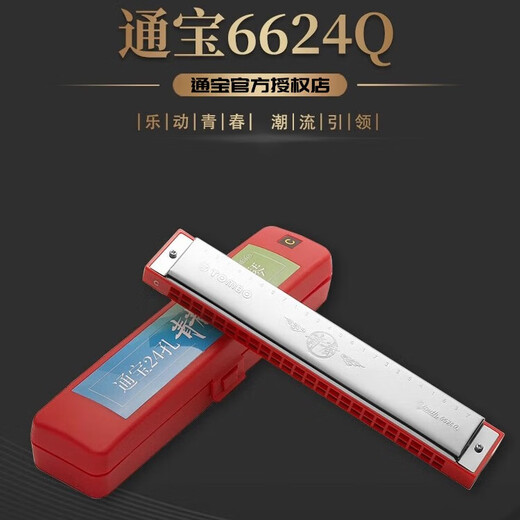 TOMBO通宝青春版6624Q 24孔复音口琴初学儿童学生用成人专业演奏乐器 专业自学款-24孔（音标款） #D调=bE调=降E调