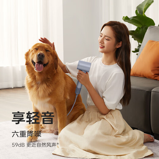 Laifen household high-speed hair dryer high-power negative ion low-noise quick-drying hair dryer does not damage power generation hair dryer gift recommendation national subsidy LF03 flash silver