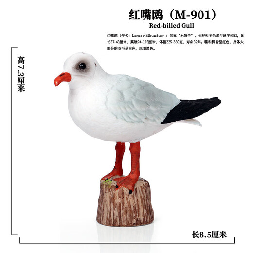 梓嘉福仿真动物模型玩具飞禽鹦鹉老鹰鸵鸟孔雀火烈鸟鸽子翠鸟小摆件 Ox-1421食火鸟