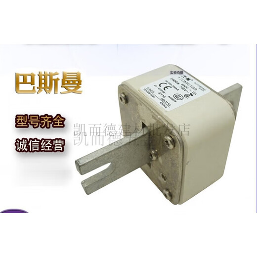 XMSJ巴斯曼170M6167  170M6169低压熔断器 170M6169
