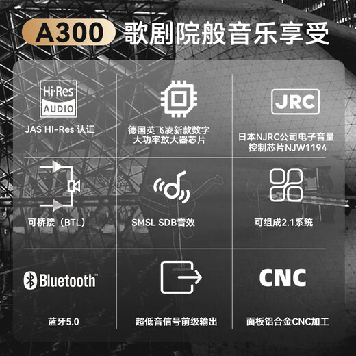 双木三林SMSL A300蓝牙功放 功率放大器 大功率功放机165W 官方标配