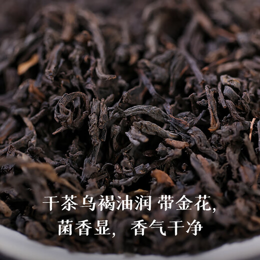 Little Senior Sister Praises Tea Almond Fragrance Liubao Tea 2008 Guangxi Liubao Tea Special Black Tea Little Senior Sister Praises Tea 520 Almond Fragrance 200g
