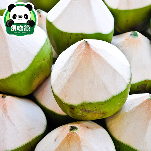 
Hainan coconut green fresh coconut 9 now peeled old coconut big pregnant women's fruits in the whole box of seasonal specialties 4 - 1050g (inclusive) or above