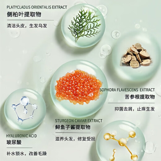 慕川琦2代洗发水 MUSK植萃头皮护理滋养控油祛屑沙龙洗护 奢养滋润洗发乳 728ml 1瓶